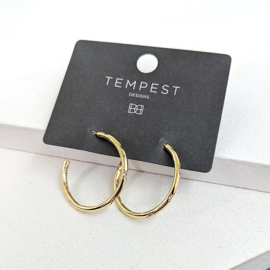 Gold Hoop Earrings with Embedded Crystals